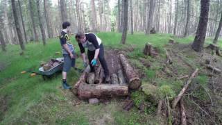 Stumpy Timelapse