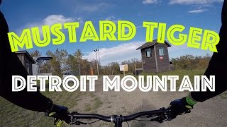 Detroit Mountain - Mustard Tiger | October 2016