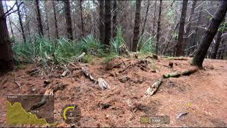 MTB Over Fifty - Acquired Taste - Woodhill MTB...