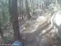 Westleigh Ride Highlights