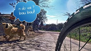 MTB GOPRO le tombe di Barbarano Vicenza
