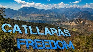 Catllaràs Freedom
