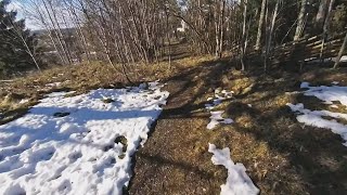 21 March 2019 Skoglia Bueveien
