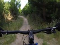 Taupo Craters Mountain Bike Park - Coaster trail