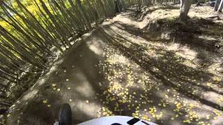 Brand new trail.  Evolution Bike Park