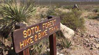Franklin Mountains