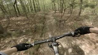 HI-Dee-Ho (Carvins Cove)