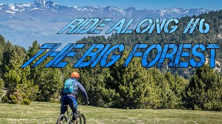 Ride Along #6 - The Big Forest