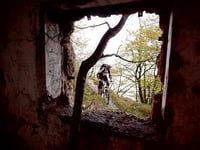 A Lago Trail with Firehead