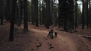 Welcome back Corral Loop | Spring Fever