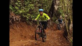 Pirongia Trails - Trick or Treat
