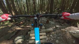 PINGU - Mt. Seymour - North Shore, B.C.