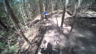 Rodney's Run Boomers