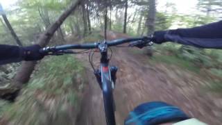 Potecuta din Poina Brasov - primul contact -...