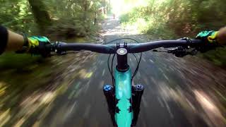 Mountain Bike Trails In Kobe, Japan