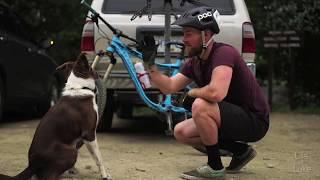2 Wheels & 4 Paws: Merry Creek