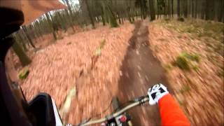 Rochlitzer Berg Downhill