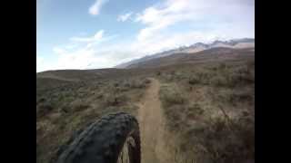 Barracks Lane - Trees to Trailhead