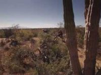 Mt Biking BAJA