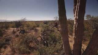 Mt Biking BAJA