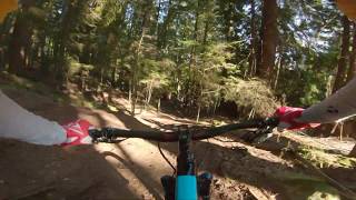 LOWER DIGGER -- Mt. Fromme- North Shore -...