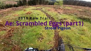 Ae Forest MTB | Scrambled Eggs pt1