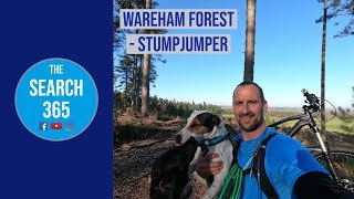 MTB at Wareham Forest - Stumpjumper