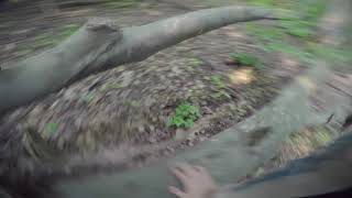 Exploring the City's North End Trails |...