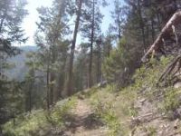 Fire Creek Trail