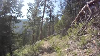 Fire Creek Trail