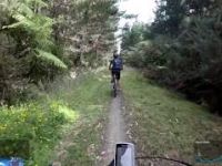 Riverhead - Carters Firebreak Down trail