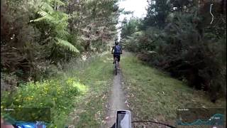 Riverhead - Carters Firebreak Down trail
