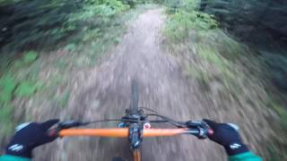 Parashka trail (Skole)