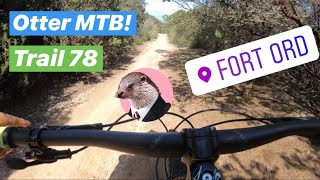 Fort Ord MTB: Trail 78 (Mini Jumps????‍♂️)