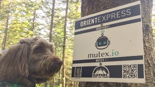 Oriental Express(Galbraith MTB) Daisy The...