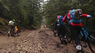 Piatra Singuratică - Munții Hășmaș