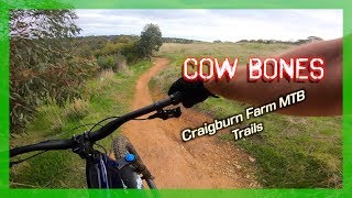 craigburn farm mtb