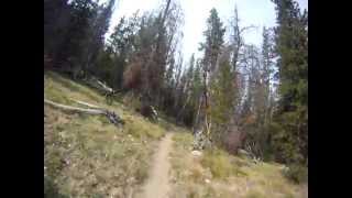 Big Timber - Cabin Creek Trail
