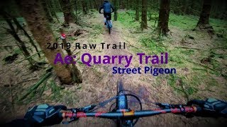 Ae Forest MTB | Quarry Trail