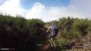 Fox Trail - Madeira | LINES