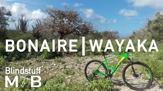 Mountain Biking Bonaire - Wayaka