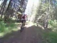 Ibis Demo Day in Salmon