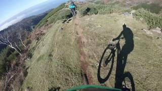 Pargos - Madeira | LINES