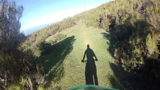 Negras - Madeira | LINES