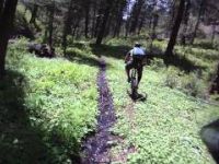 Silverlead Wipeout