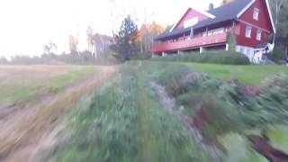 03 10 2016 riding Prestegårdsskogen