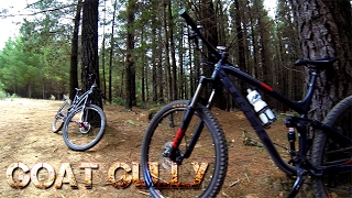 Mt Conobolas MTB - Goat Gully - Orange NSW
