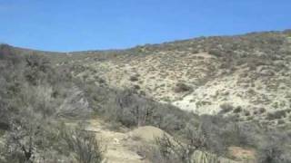 Riding Owl Canyon