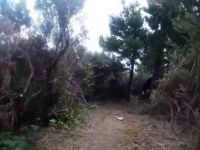 Rivenrock MTB Park - Blackberry Lane ...