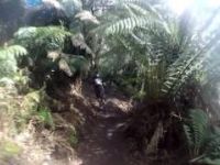 Blue Tier Descent, Fun Section